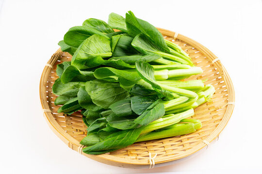 青菜菜心