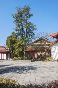 國風(fēng)庭園