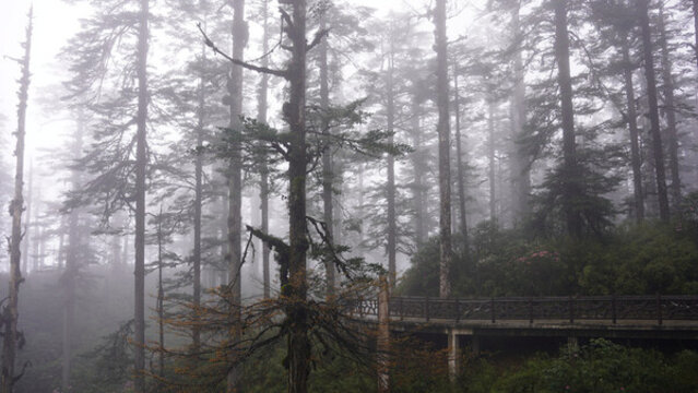 瓦屋山風(fēng)景區(qū)