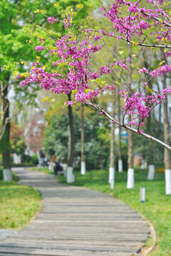 武漢東湖公園