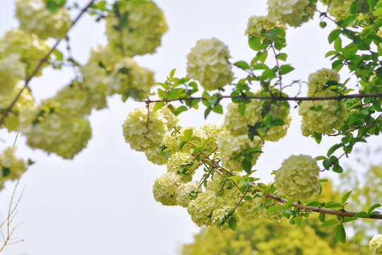 武漢東湖公園