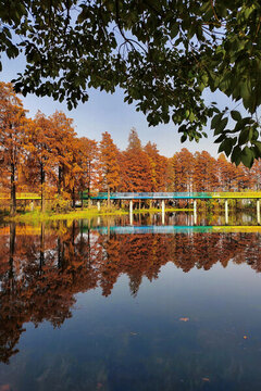 東湖華僑城濕地公園