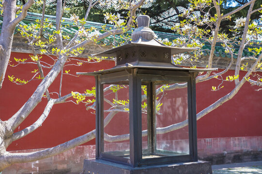宮燈