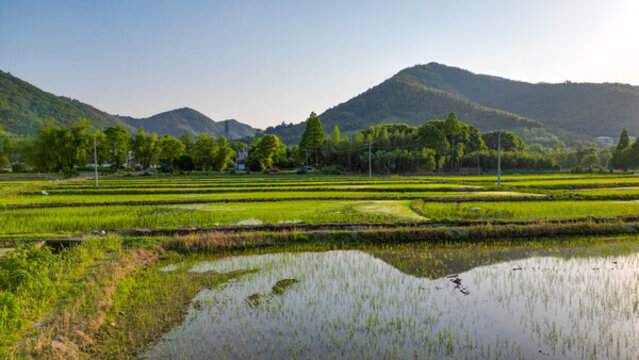 農(nóng)田