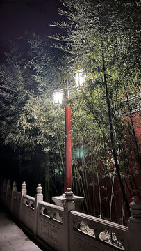 中式園林竹子