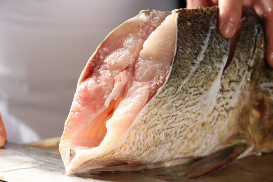 新鮮魚(yú)頭