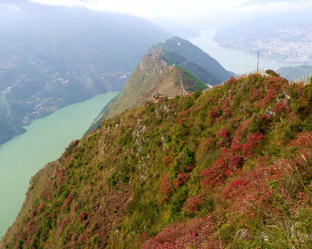 長江三峽巫峽紅葉變紅