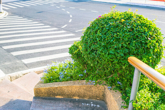 路旁綠化