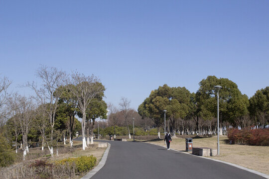 太倉江灘濕地公園