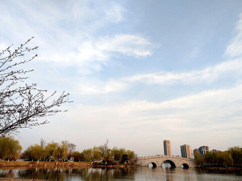 坂湖公園