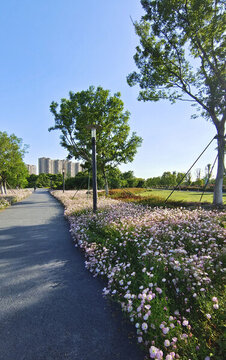 城市公園湖泊