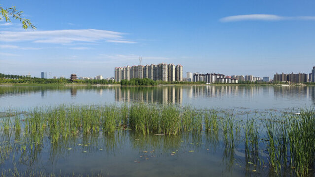 城市公園湖泊