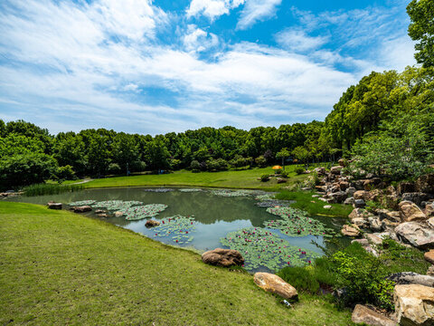 湖北京山園林風(fēng)光