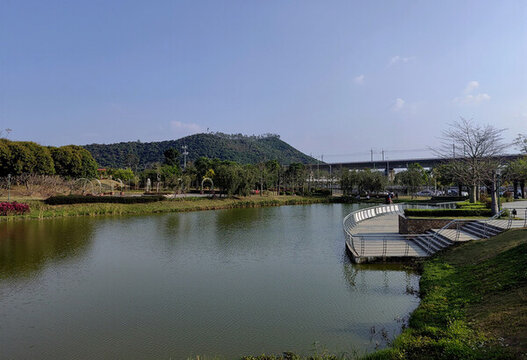 深圳羅田公園