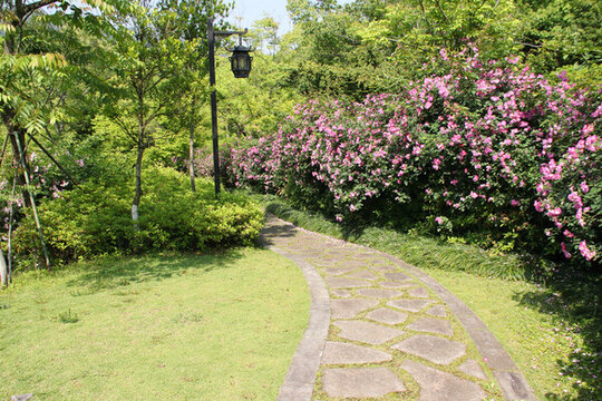 植物園小道