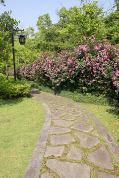 溫嶺植物園小道