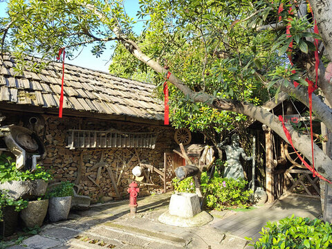 炭河千古情園區(qū)許愿樹