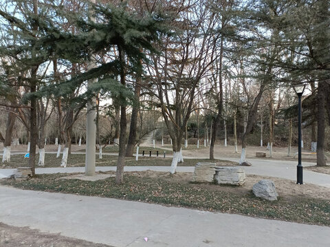公園林地