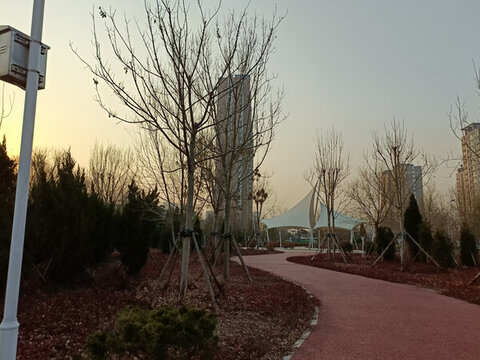 研究院小路