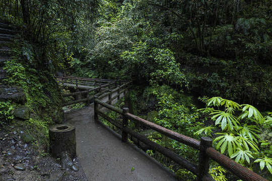 青城山森林步道