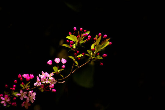 春暖花開