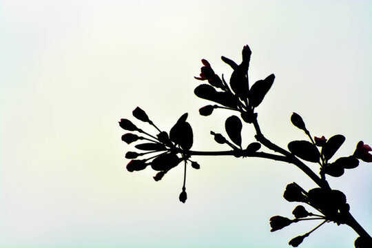 春暖花開(kāi)