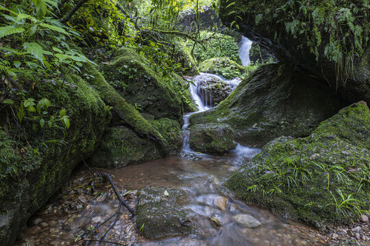 青城山森林