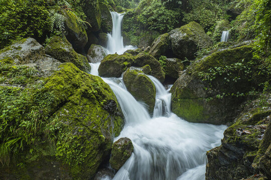 青城山森林
