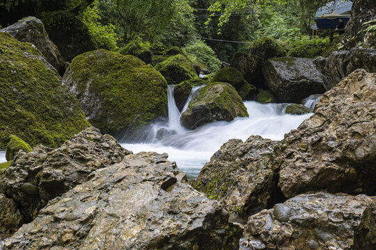 青城山森林