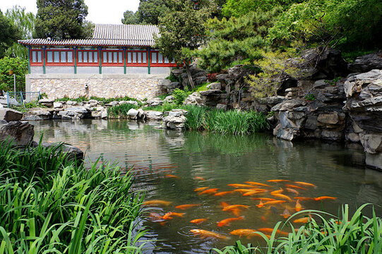 北海公園