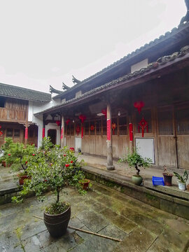 金絲木樓