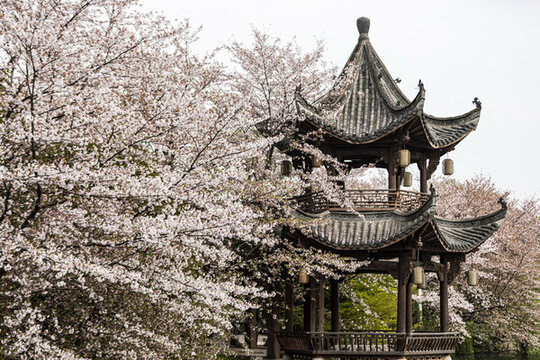 杭州夢(mèng)溪苑