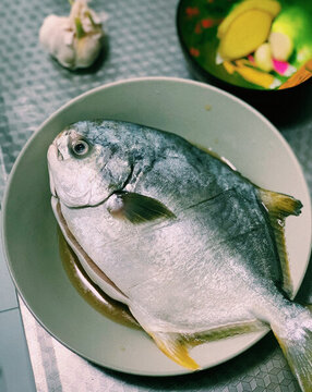 一條新鮮的海鮮魚