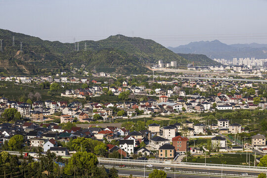 富陽老拔山村茶園