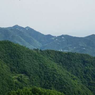青山