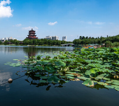 濟寧古南池公園