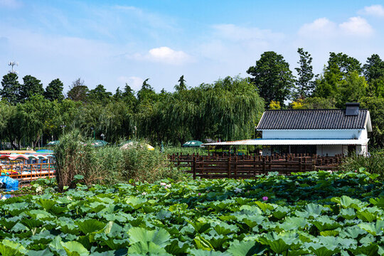 濟(jì)寧古南池公園