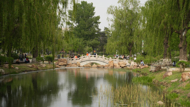 牡丹園的拱橋