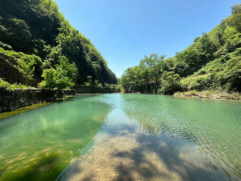 山澗森林湖泊