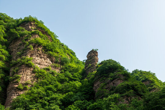 龍?zhí)洞髰{谷
