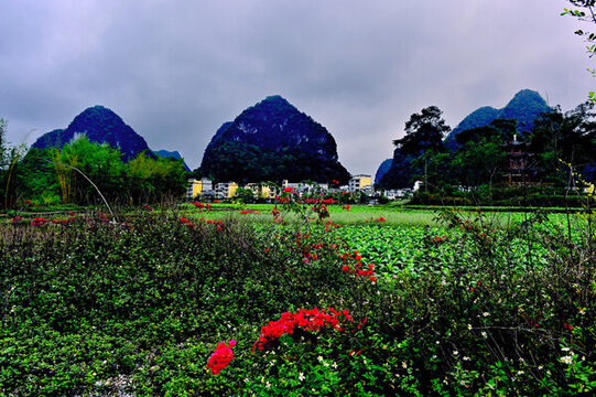 廣西舊州風(fēng)景