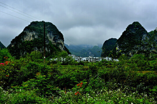 廣西舊州風(fēng)景
