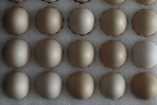 一组新鲜的干净的鸡蛋