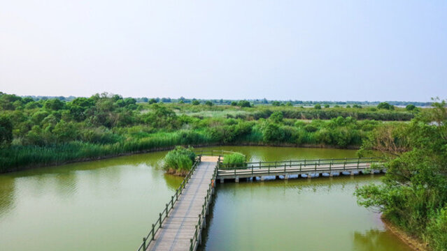 濕地公園