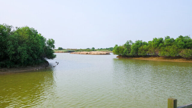 濕地公園