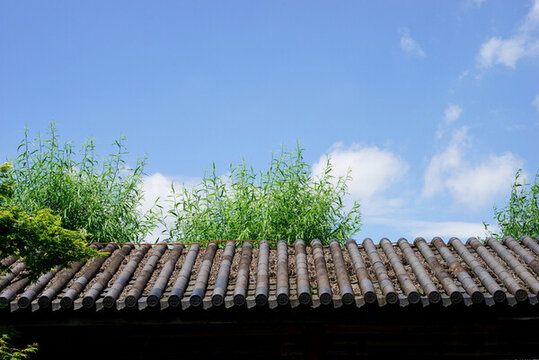 藍(lán)天瓦墻