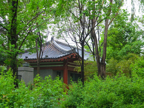 公園風景