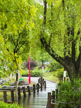 公園雨后春景
