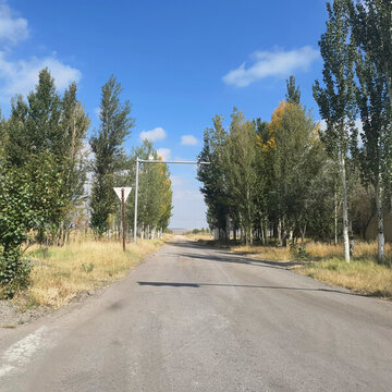 野外大路