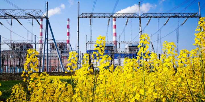 電廠